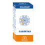 HOLORAM CARDIVAS 180 CAPSULAS EQUISALUD