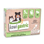 Kowi Gastric, 60 comprimidos KOWI NATURE