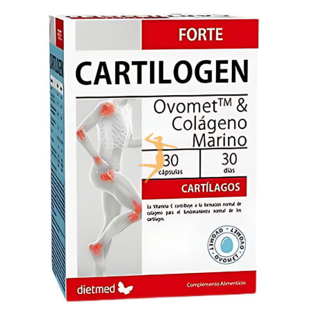 CARTILOGEN FORTE 30 CAPSULAS DIETMED