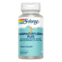 PHOSPHATIDYLSERINE PLUS 60 CÁPSULAS SOLARAY