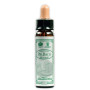 BACH WHITE CHESTNUT 10Ml. SANTIVERI