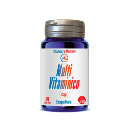 MULTI VITAMINICO 60 CAPSULAS YNSADIET