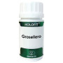 HOLOFIT GROSELLERO 60 CAPSULAS EQUISALUD