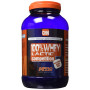 WHEY 100% LACTIC COMPETITION FRESA 1Kg. MEGAPLUS