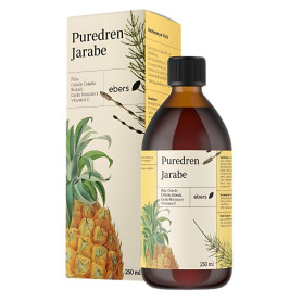 PUREDREN JARABE 250 ML EBERS