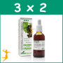 Pack 3x2 EXTRACTO DE GROSELLERO NEGRO FÓRMULA XXI 50Ml. SORIA NATURAL