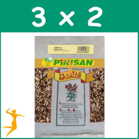 Pack 3x2 CARDO MARÍA SEMILLAS 50Gr. PINISAN