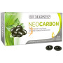 NEOCARBÓN 60 CÁPSULAS MARNYS