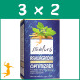 Pack 3x2 ESTADO PURO ASHWAGANDHA OPTIMIZADA 30 CAP ESTADO PURO - TONGIL