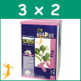 PACK 3x2 ECODIET TILA 20 FILTROS BIO NOVA DIET