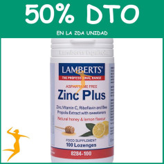 ZINC PLUS LOZENGES (MASTICABLES) LAMBERTS OFERTA 2UD