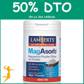 MAGASORB 375Gr. LAMBERTS OFERTA 2UD