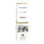 HIDROLATO DE ROMERO BIO 100Ml. ESENTIAL AROMS