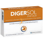 DIGERSOL STOP ACID 20COMPRIMIDOS SPECCIASOL