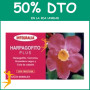 HARPAGOFITO PLUS 20 VIALES INTEGRALIA OFERTA 2 UD