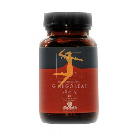 GINKGO 500Mg. 50 CÁPSULAS TERRA NOVA