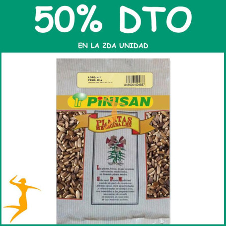 CARDO MARÍA SEMILLAS 50Gr. PINISAN OFERTA 2 UD