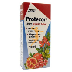 PROTECOR JARABE 250Ml. SALUS