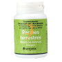 RACINES TERRESTRES (PAU D´ARCO) 90 CÁPSULAS 300MG SERPENS