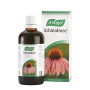ECHINAFORCE 100Ml. BIOFORCE