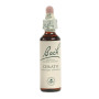 CERATO (CERAT) 20Ml. BACH
