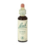 GORSE (AULAGA) 20Ml. BACH