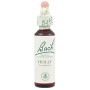 HOLLY (ACEBO) 20Ml. BACH