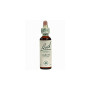 LARCH (ALERCE) 20Ml. BACH