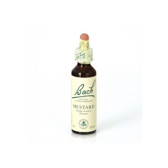 MUSTARD (MOSTAZA) 20Ml. BACH