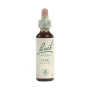 OAK (ROBLE) 20Ml. BACH