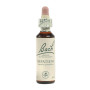 IMPATIENS 20Ml. BACH