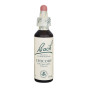 CHICORY (ACHICORIA) 20Ml. BACH