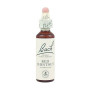 RED CHESTNUT (CASTAÑO ROJO) 20Ml. BACH