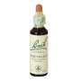 HONEYSUCKLE (MADRESELVA) 20Ml. BACH
