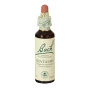 CENTAURY (CENTAUREA MENOR) 20Ml. BACH