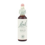 BEECH (HAYA) 20Ml. BACH