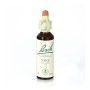 VINE (VID) 20Ml. BACH
