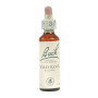 WILD ROSE (ROSA SILVESTRE) 20Ml. BACH