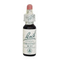 CHESTNUT BUD (CASTAÑO) 20Ml. BACH