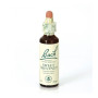 SWEET CHESTNUT (CASTAÑO DULCE) 20Ml. BACH