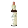ELM (OLMO) 20Ml. BACH
