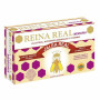 REINA REAL MEMORIA (JALEA REAL) ROBIS
