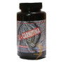 L-CARNITINA 100 CÁPSULAS EL VALLE