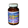 TRIBULUS TERRESTRIS 120 CAPSULAS EL VALLE