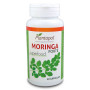 MORINGA FORTE 60 CÁPSULAS PLANTA POL