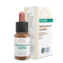 QUINTAESENCIA GINEPRO 10Ml. FORZA VITALE
