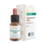 QUINTAESENCIA TIMO 10Ml. FORZA VITALE