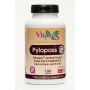 PYLOPASS 500Mg. 100 CÁPSULAS VBYOTICS