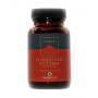 ENZIMAS DIGESTIVAS COMPLEX 50 CÁPSULAS TERRA NOVA