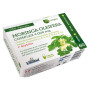 MORINGA COMPLEX 60 CÁPSULAS NATURE ESSENTIAL